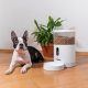 Tesla - TSL-PC-BL4C - Smart Pet Feeder Camera- Inteligentná kamera na kŕmenie domácich zvierat